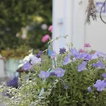 Haus Midsommer Apartment Timmendorfer Strand