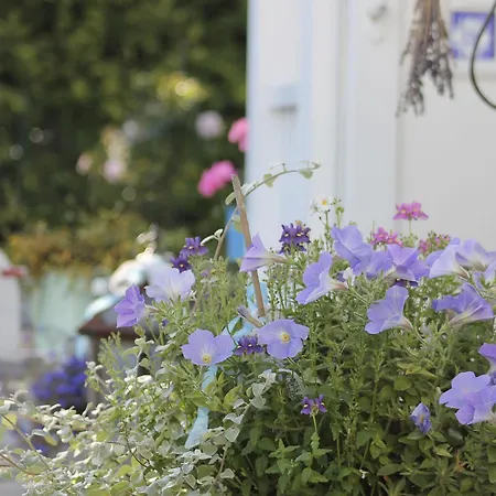 Haus Midsommer 公寓 蒂门多弗施特兰德