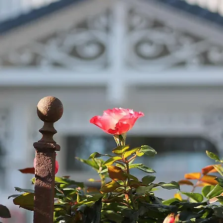 Haus Midsommer Apartmán