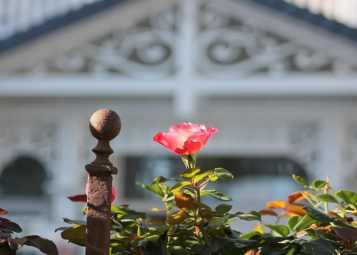 Haus Midsommer Lejlighed